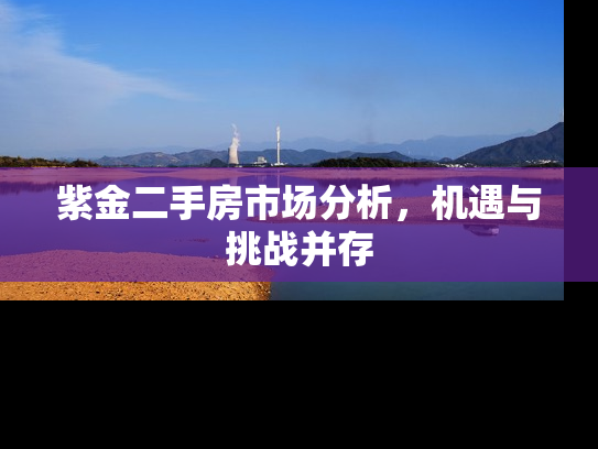 紫金二手房市场分析，机遇与挑战并存