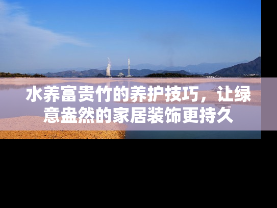 水养富贵竹的养护技巧，让绿意盎然的家居装饰更持久