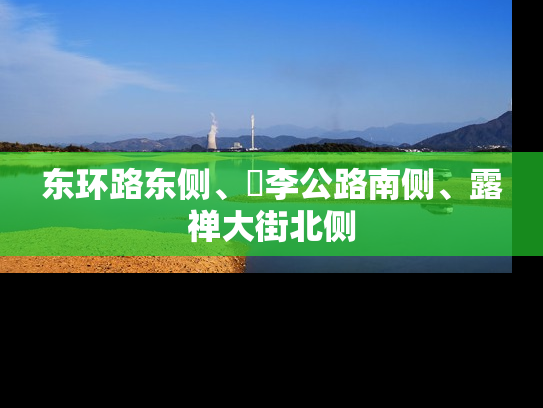 东环路东侧、洺李公路南侧、露禅大街北侧