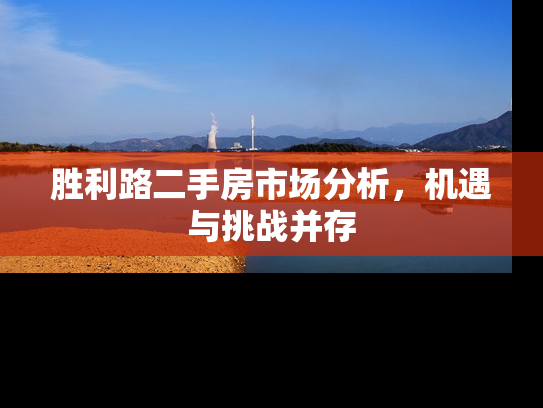 胜利路二手房市场分析，机遇与挑战并存