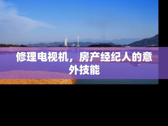 修理电视机，房产经纪人的意外技能
