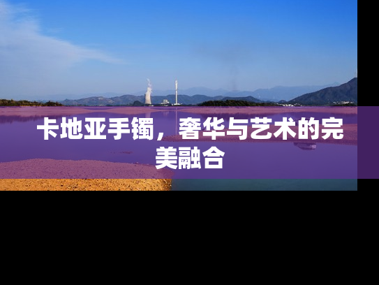 卡地亚手镯，奢华与艺术的完美融合