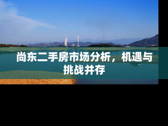 尚东二手房市场分析，机遇与挑战并存