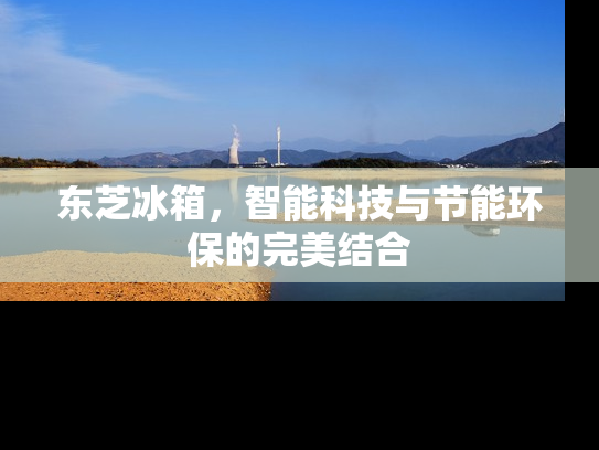 东芝冰箱，智能科技与节能环保的完美结合