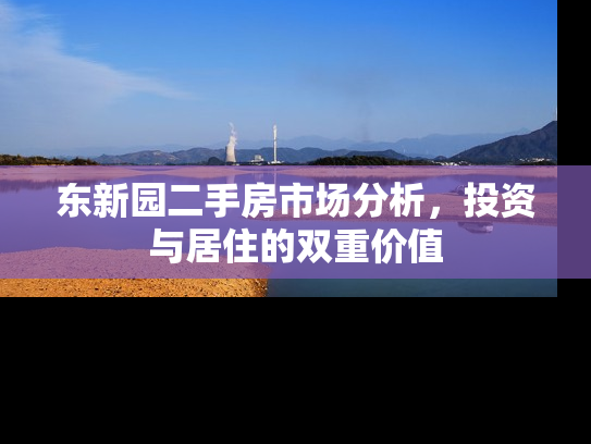 东新园二手房市场分析，投资与居住的双重价值