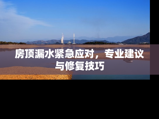 房顶漏水紧急应对，专业建议与修复技巧