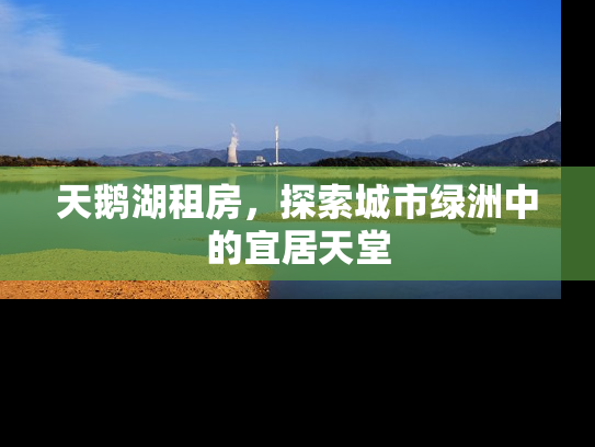 天鹅湖租房，探索城市绿洲中的宜居天堂