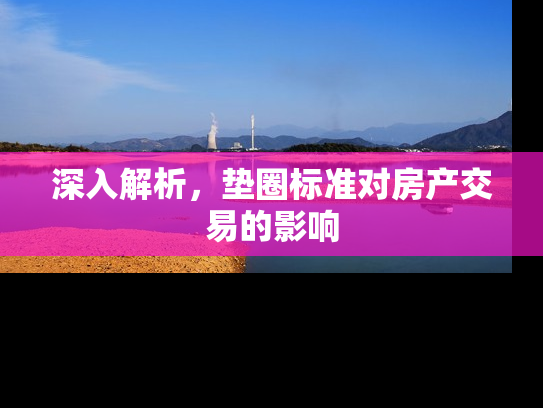 深入解析，垫圈标准对房产交易的影响