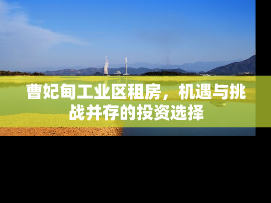 曹妃甸工业区租房，机遇与挑战并存的投资选择
