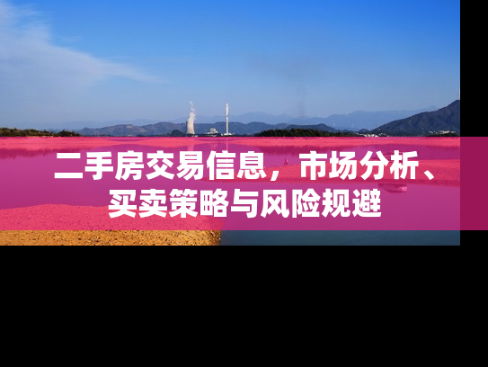 二手房交易信息，市场分析、买卖策略与风险规避