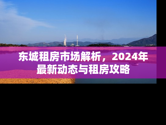 东城租房市场解析，2024年最新动态与租房攻略