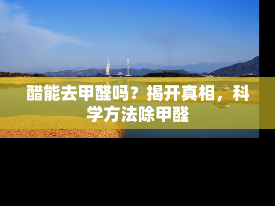 醋能去甲醛吗？揭开真相，科学方法除甲醛