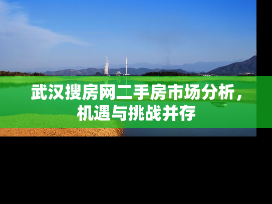 武汉搜房网二手房市场分析，机遇与挑战并存