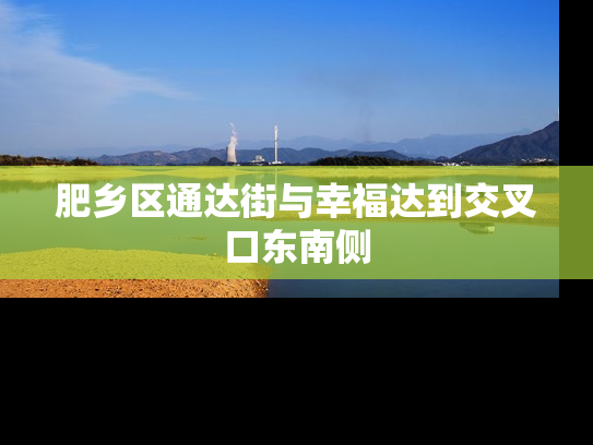 肥乡区通达街与幸福达到交叉口东南侧