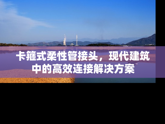 卡箍式柔性管接头，现代建筑中的高效连接解决方案