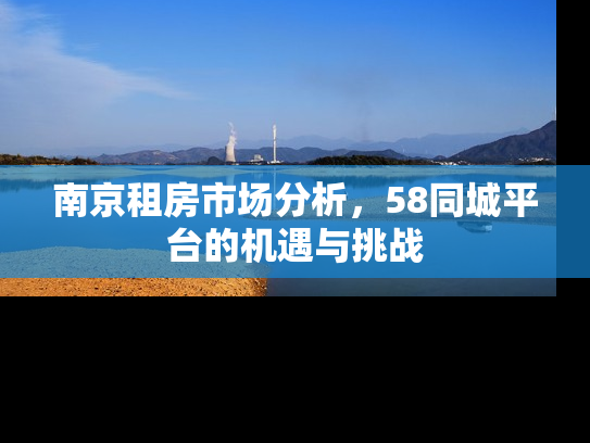 南京租房市场分析，58同城平台的机遇与挑战