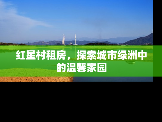 红星村租房，探索城市绿洲中的温馨家园