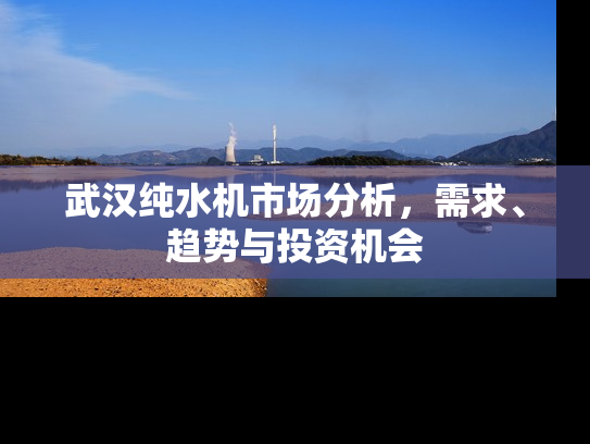 武汉纯水机市场分析，需求、趋势与投资机会