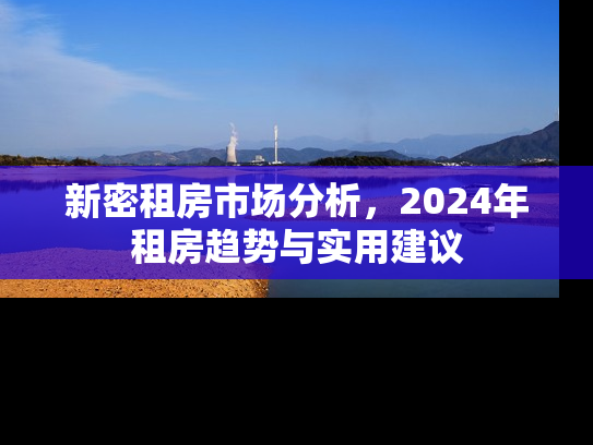 新密租房市场分析，2024年租房趋势与实用建议