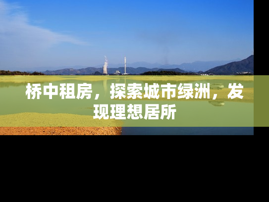 桥中租房，探索城市绿洲，发现理想居所