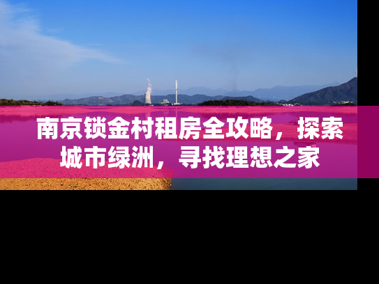 南京锁金村租房全攻略，探索城市绿洲，寻找理想之家