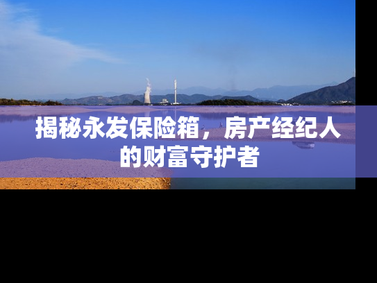 揭秘永发保险箱，房产经纪人的财富守护者