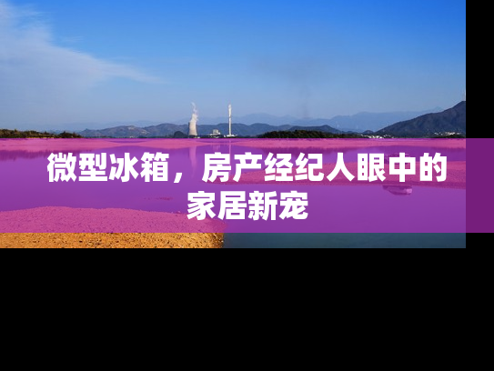 微型冰箱，房产经纪人眼中的家居新宠