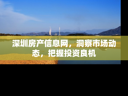 深圳房产信息网，洞察市场动态，把握投资良机