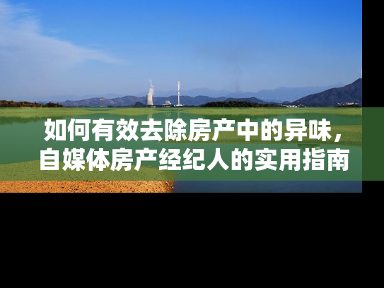 如何有效去除房产中的异味，自媒体房产经纪人的实用指南