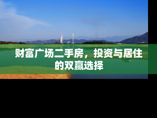 财富广场二手房，投资与居住的双赢选择