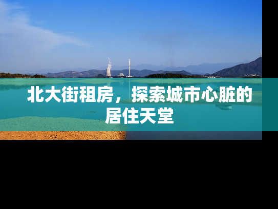 北大街租房，探索城市心脏的居住天堂