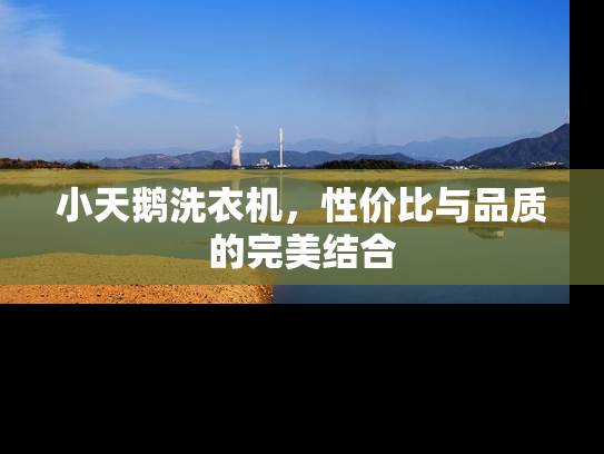 小天鹅洗衣机，性价比与品质的完美结合