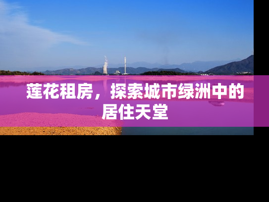 莲花租房，探索城市绿洲中的居住天堂