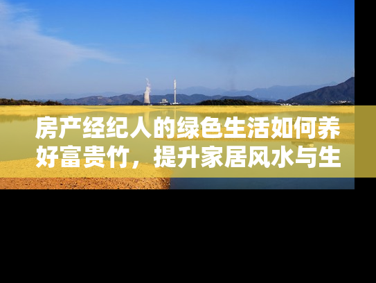 房产经纪人的绿色生活如何养好富贵竹，提升家居风水与生活品质