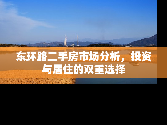 东环路二手房市场分析，投资与居住的双重选择