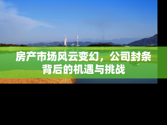 房产市场风云变幻，公司封条背后的机遇与挑战