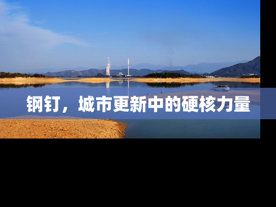 钢钉，城市更新中的硬核力量