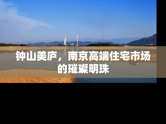 钟山美庐，南京高端住宅市场的璀璨明珠