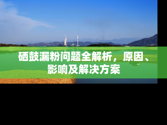 硒鼓漏粉问题全解析，原因、影响及解决方案