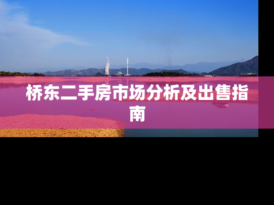 桥东二手房市场分析及出售指南