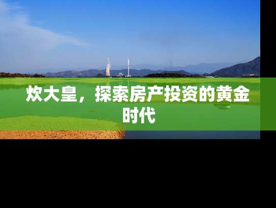 炊大皇，探索房产投资的黄金时代