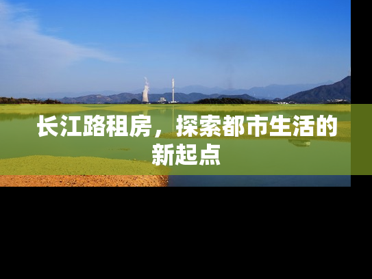 长江路租房，探索都市生活的新起点