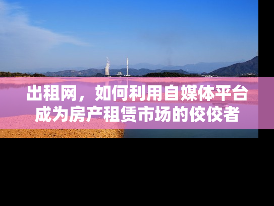 出租网，如何利用自媒体平台成为房产租赁市场的佼佼者