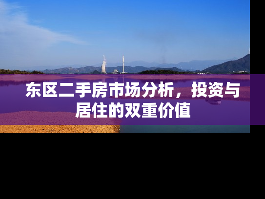 东区二手房市场分析，投资与居住的双重价值