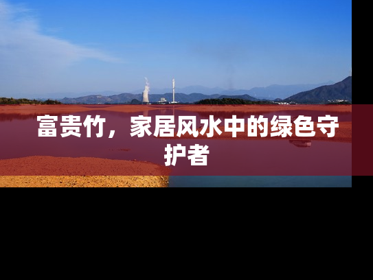 富贵竹，家居风水中的绿色守护者