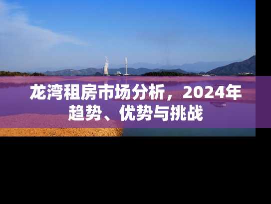龙湾租房市场分析，2024年趋势、优势与挑战
