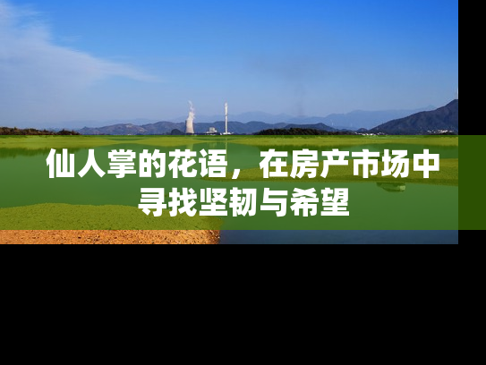 仙人掌的花语，在房产市场中寻找坚韧与希望