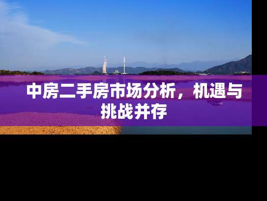 中房二手房市场分析，机遇与挑战并存