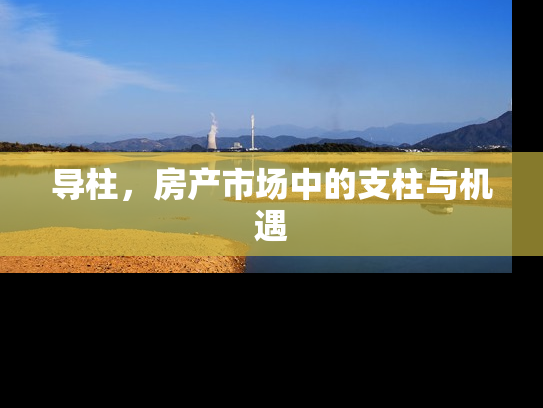 导柱，房产市场中的支柱与机遇