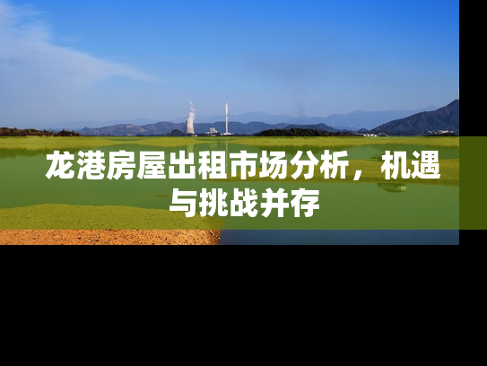 龙港房屋出租市场分析，机遇与挑战并存